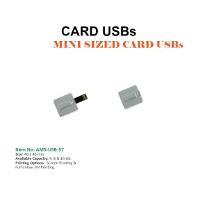 MINI SIZED CARD USBs square