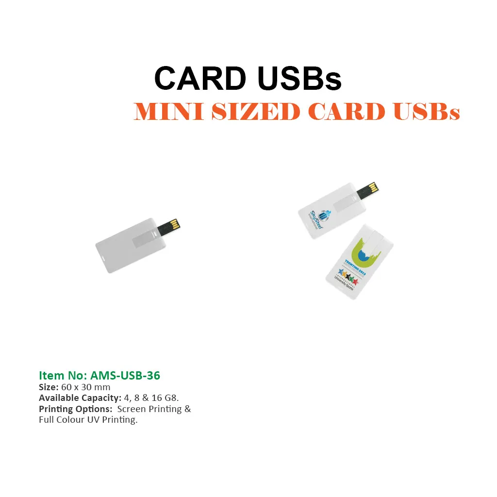 MINI SIZED CARD USBs
