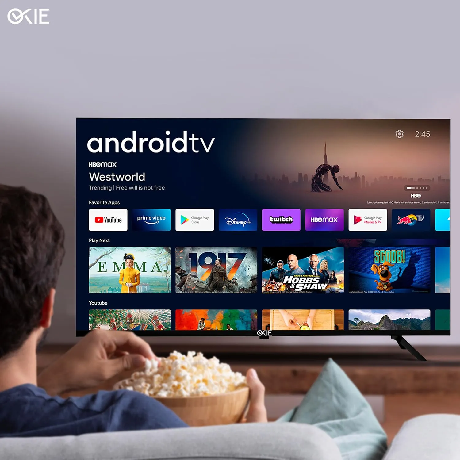 Okie TV 100 cm (40 Inch) HD Smart LED TV BCDH-32AB (Black)